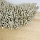 Old XL coral 51 cm