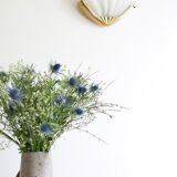 Pair of glass and brass sconces shell, 70 years