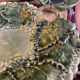 SILEA ceramic fruit bowl with grape and vine pattern