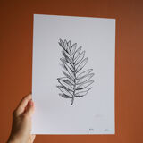 “La rameau” screen print in limited edition