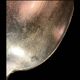 Fork and soup spoon in silver metal in their box from the brand "CERAVER OSTEAL"