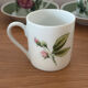 6 cups 5 saucers floral porcelain Hutschenreuther