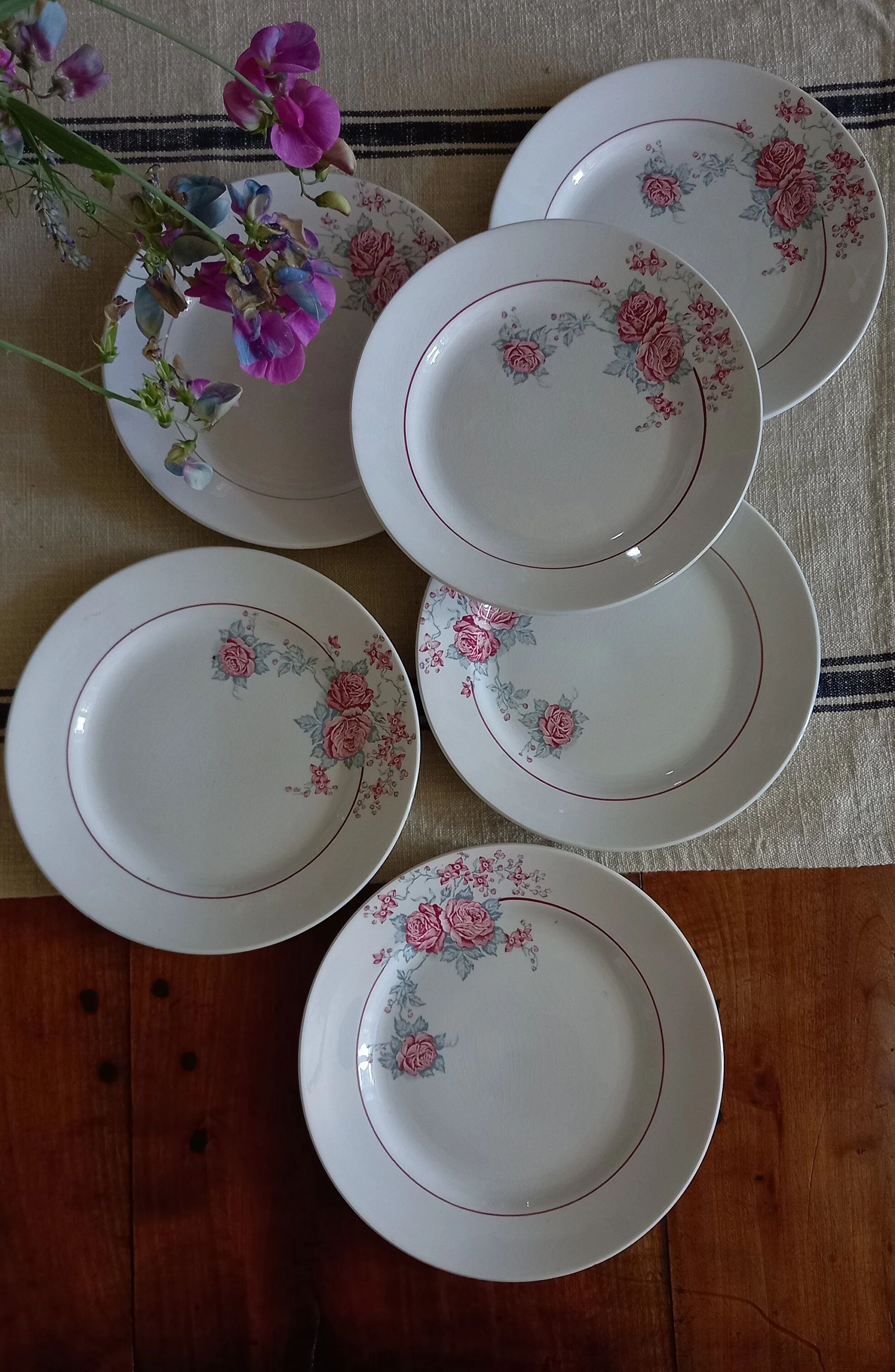"Thalie" - 6 flat plates ironstone Saint-Amand