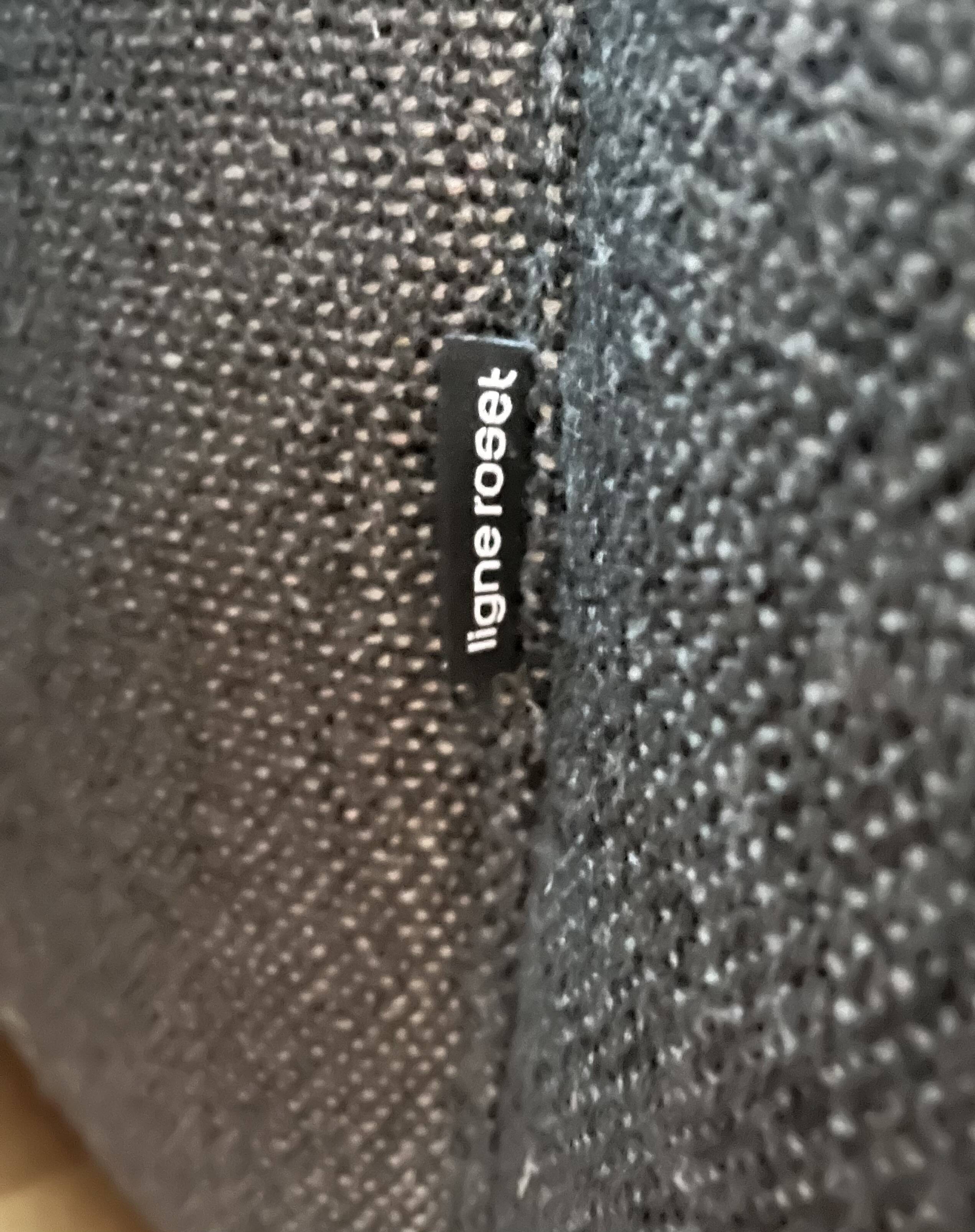 Nils Ligne Roset sofa and chaise longue