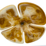 Vintage XXL Space Age pendant lamp, Plexiglas & Brass, 70s