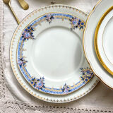 12 Mismatched porcelain plates