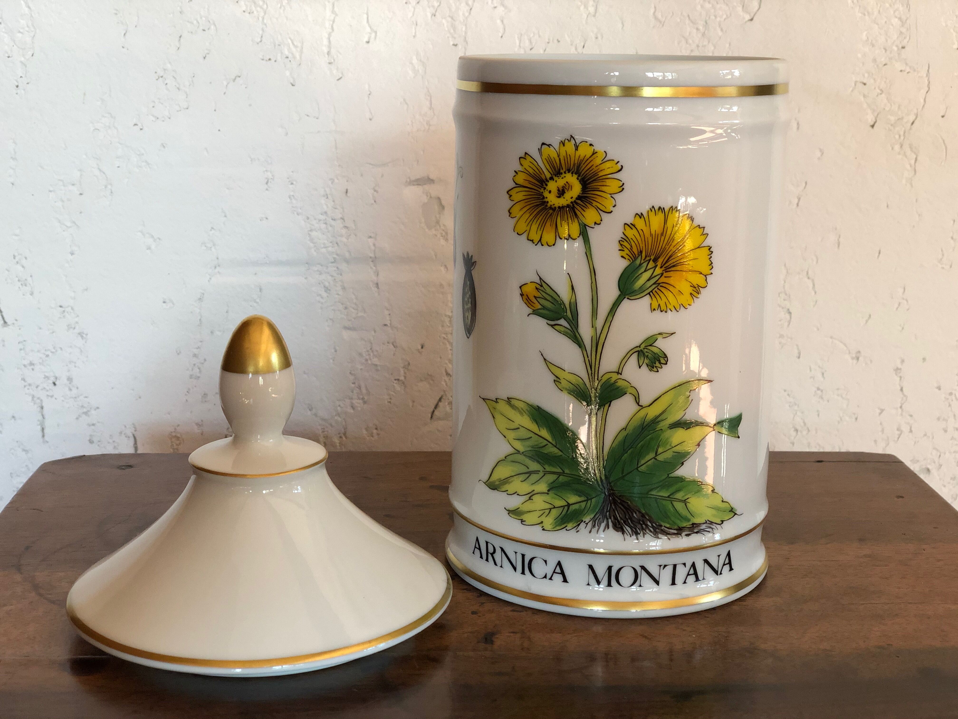 Pharmacy pot "arnica montana"