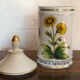 Pharmacy pot "arnica montana"