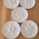 5 white porcelain oyster plates by Pillivuyt
