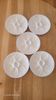 5 white porcelain oyster plates by Pillivuyt