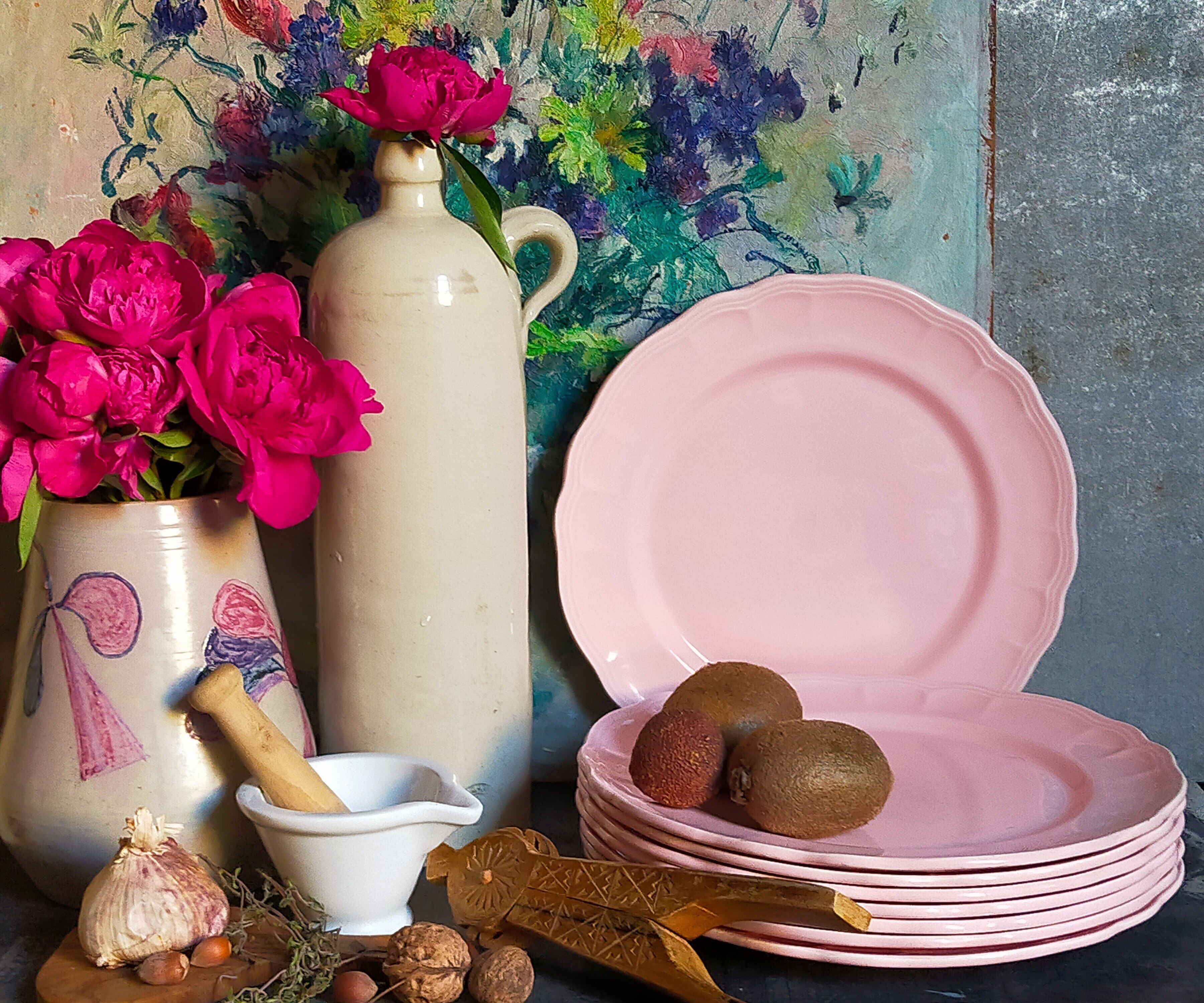 Seven ceramic plates of vintage salins