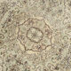5x9 faded beige wool handknotted oushak rug, 276x166cm