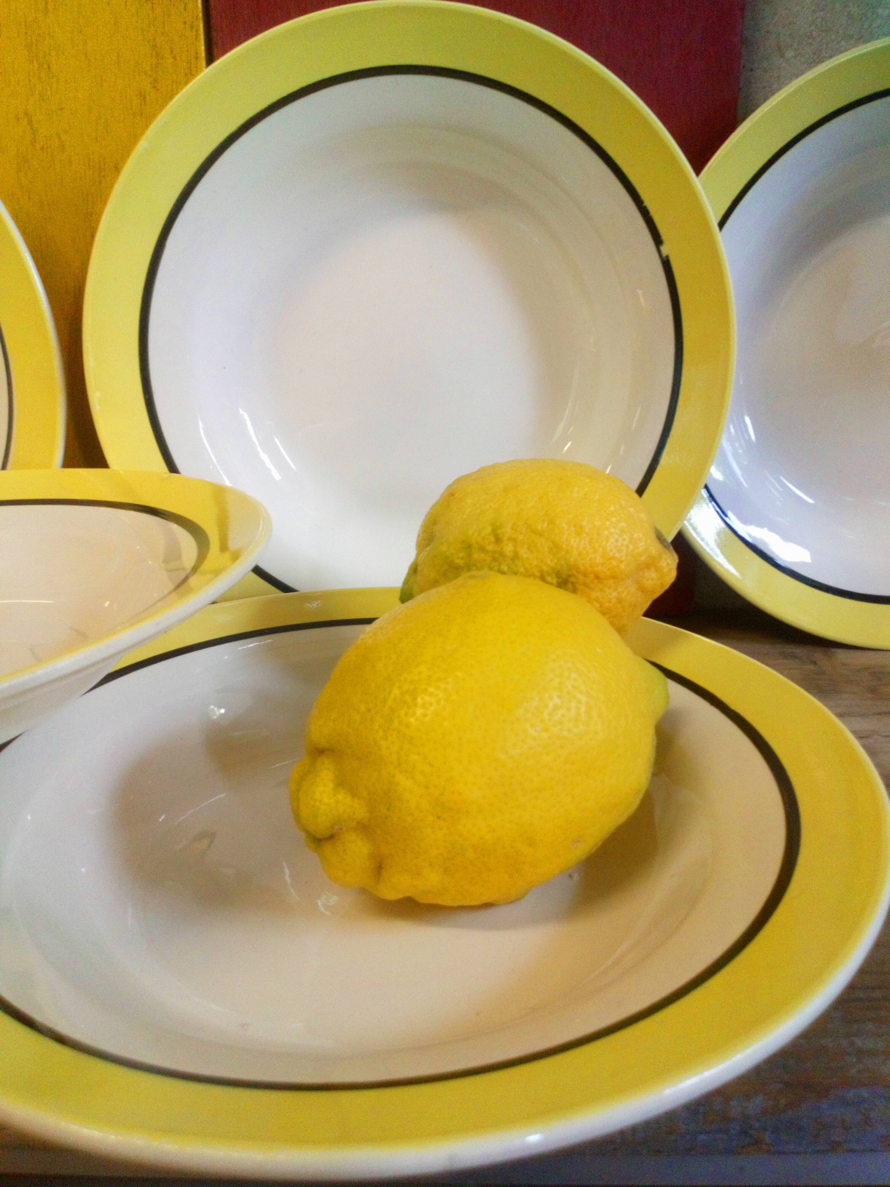 Six plates Digoin-Sarreguemines "Dinard" 50s