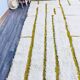Handmade pure wool rug, size 150/250 cm.