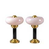 Pair of Art Deco table lamps • Antique glass & Patinated brass