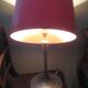 Lampe d'ambiance 1970 pied tulipe in brushed aluminium, reclining day offal