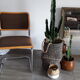 Lot 4 cesca chairs by Marcel Breuer