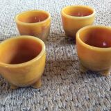 Series of 4 cockroaches