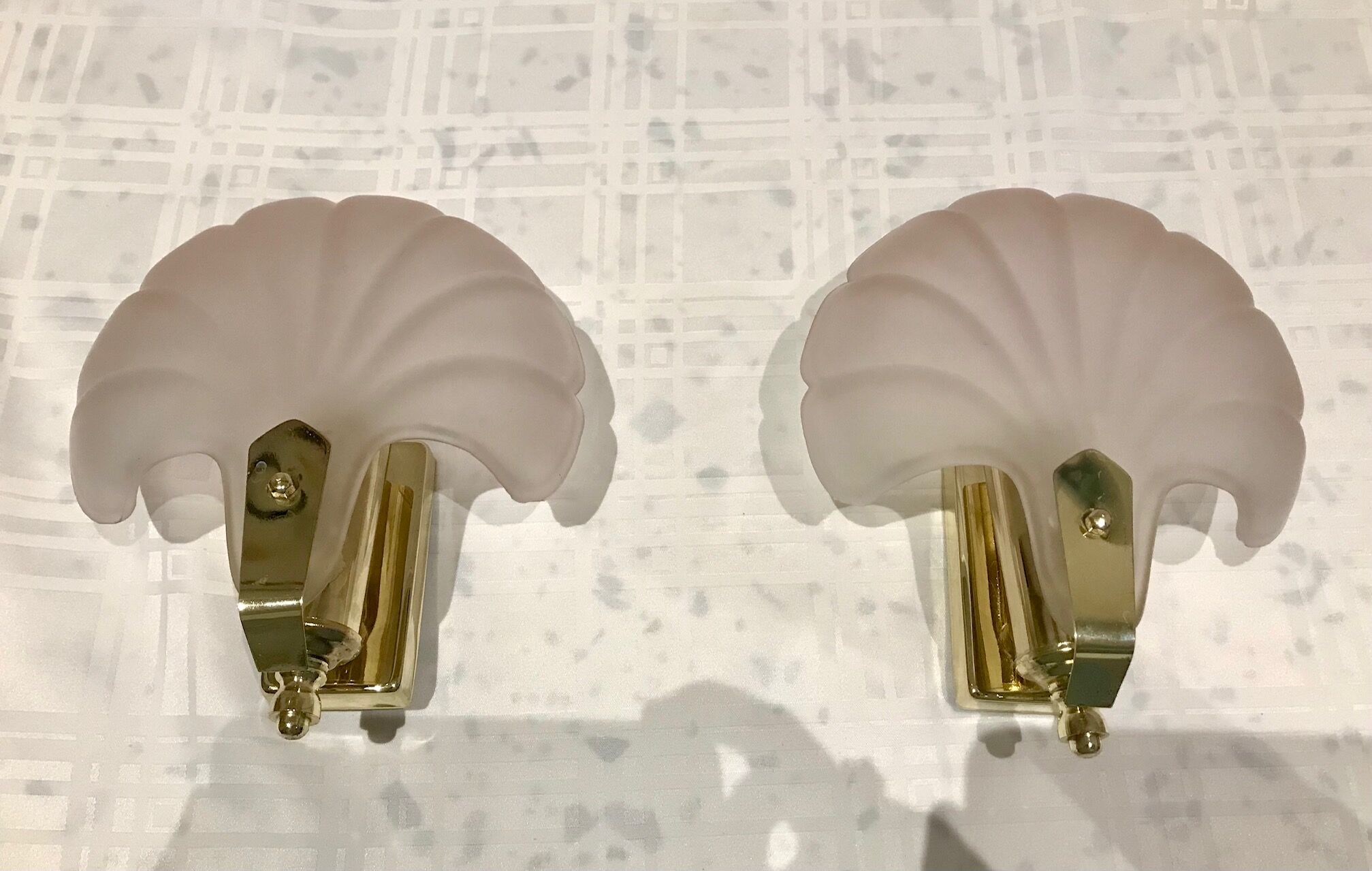 Pair of shell sconces