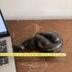 Ancient Atlas Statue Bandung Indonesia Art Deco Dense Ironwood Java