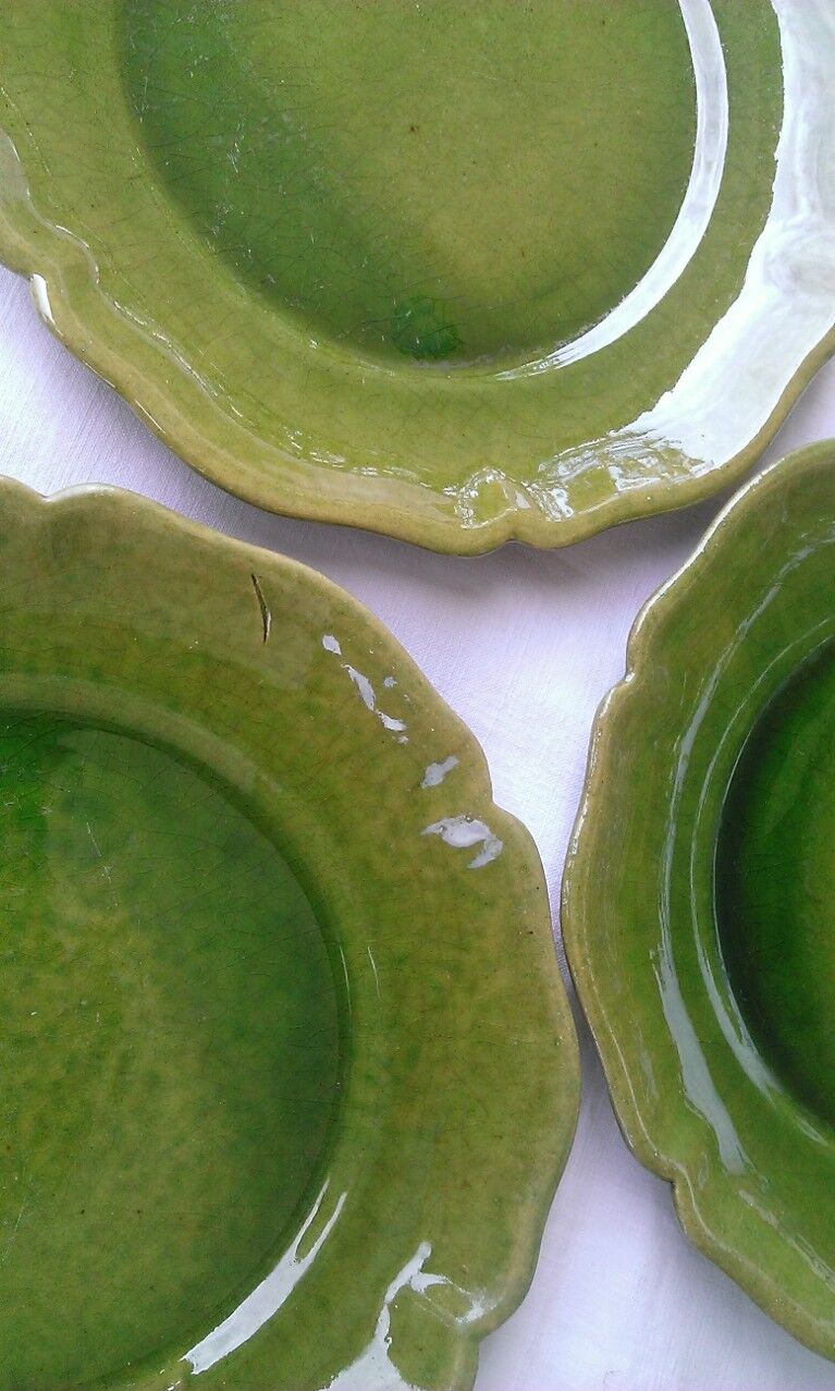 6 flat plates green BIOT