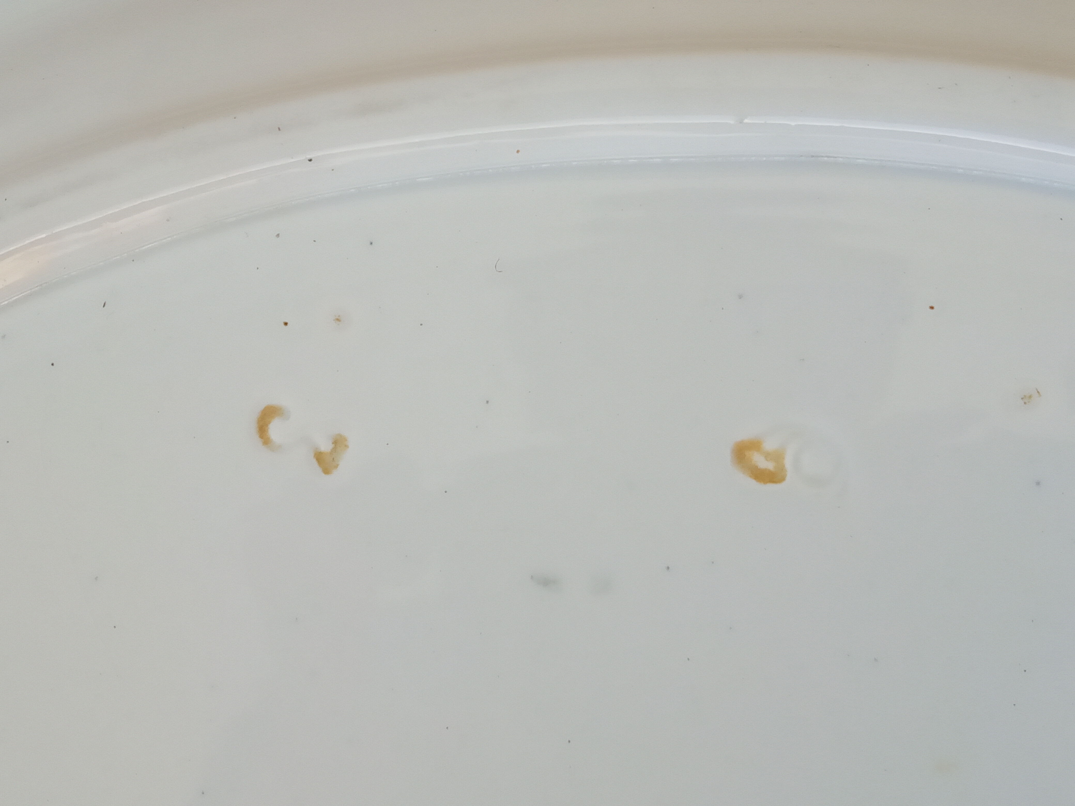 Duo of old oval dishes