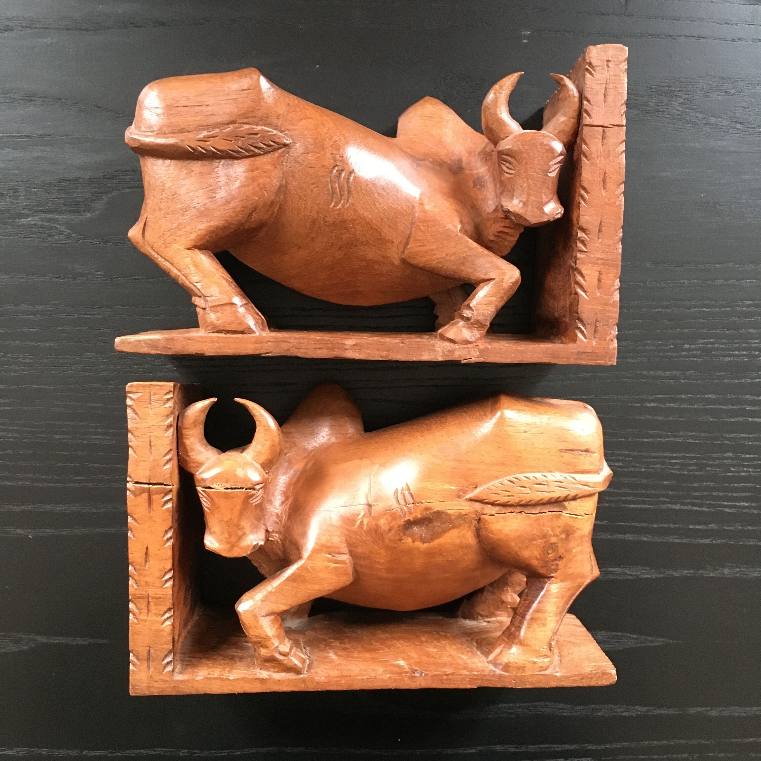Pair of greenhouse buffalo books