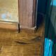 Large old mirror in pitchpin Louis-Philippe Style 100x170cm