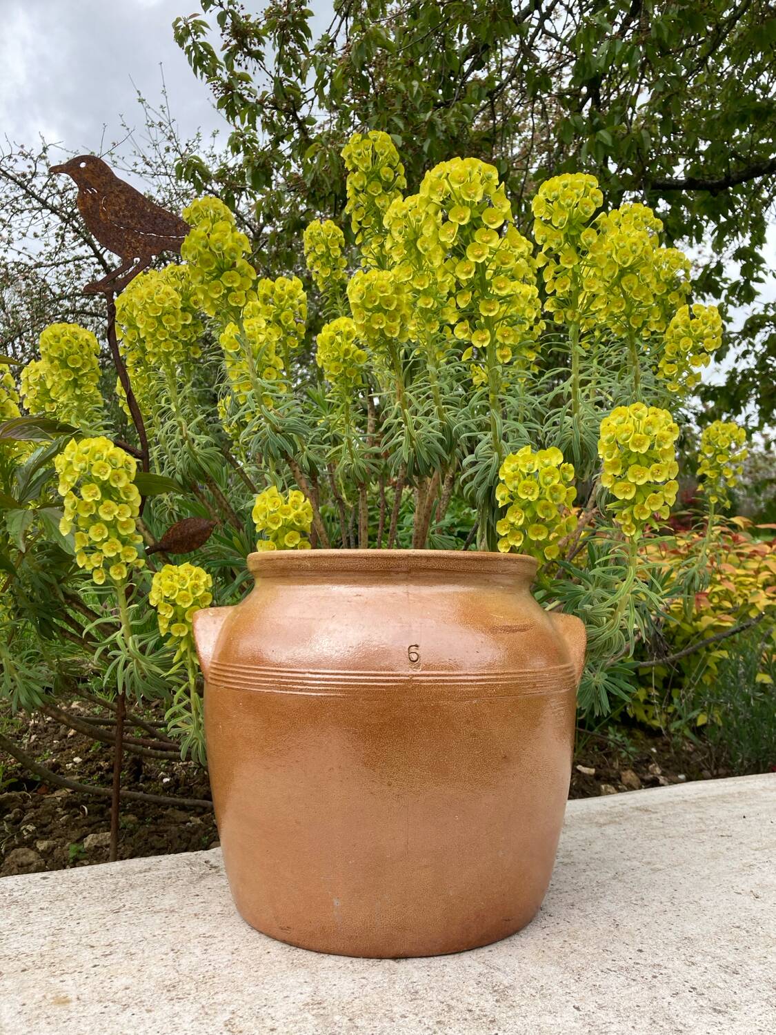 Light brown ceramic jar