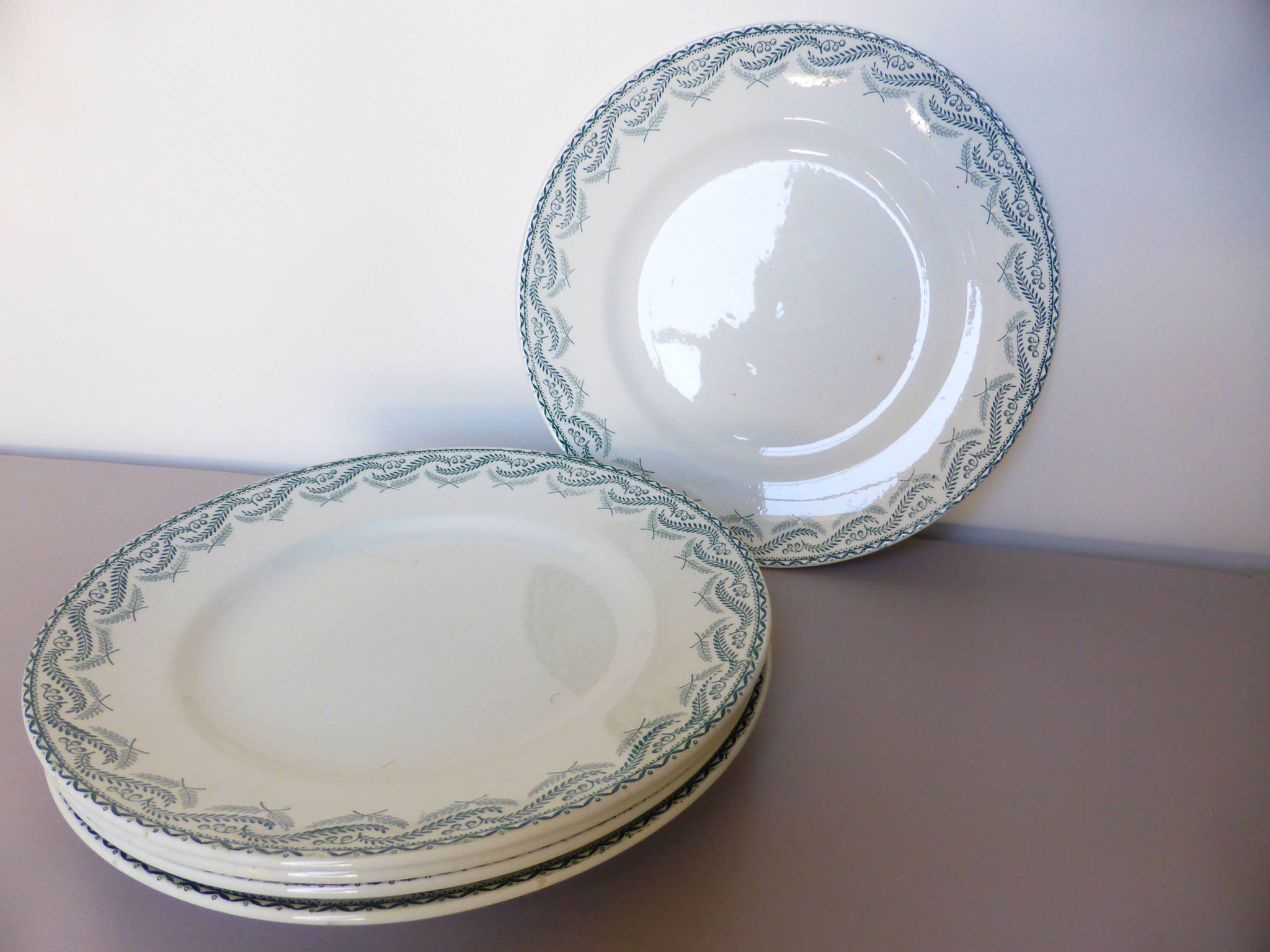 5 assiettes plates en terre de fer de St Amand modèle Réjane 210726