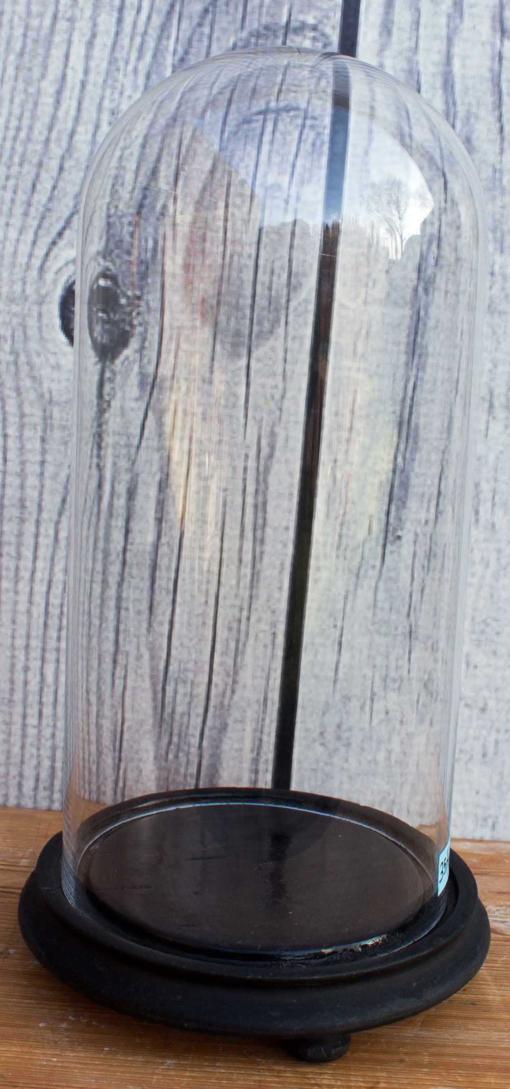 Antique round glass globe 35 cm high