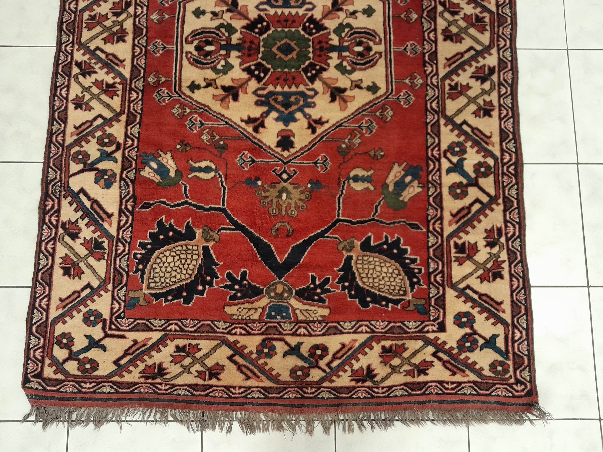 Gazny rug 197x131cm