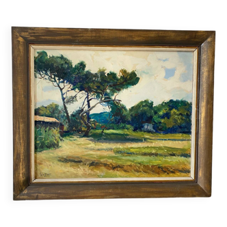 Sete pines signed Soler Blasco from 1956