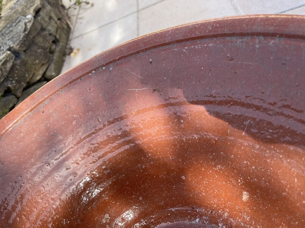 Terracotta pot