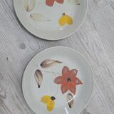 Sarguemine dishes