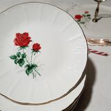 Dessert plates Claudia Amandinoise and vintage mandiant