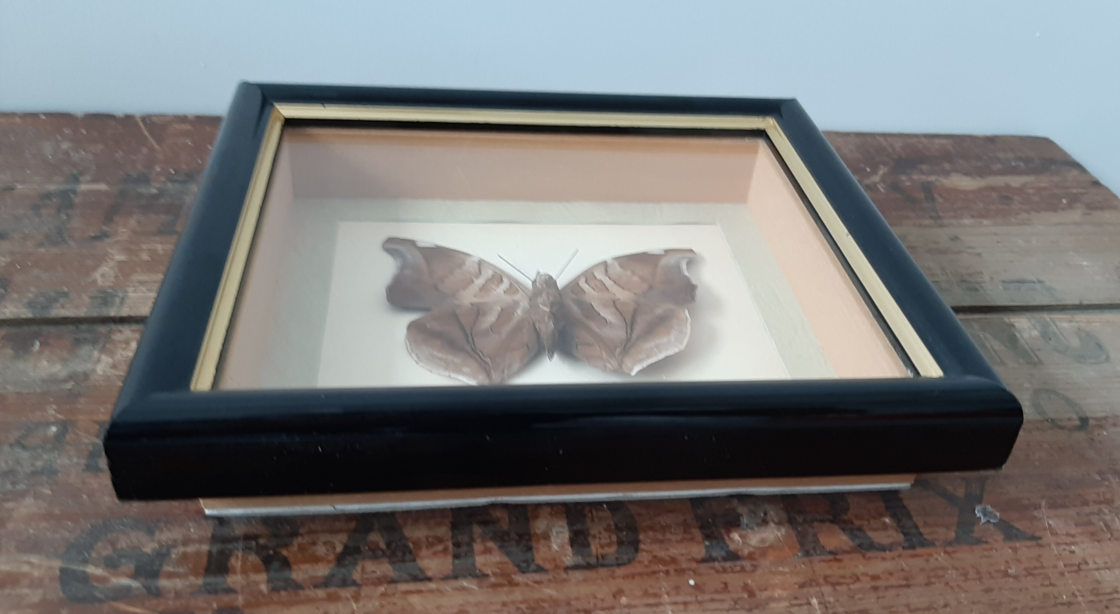 Butterfly frame