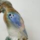 Vintage porcelain Parfume lamp bird , 1950s