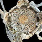 Suite de quatre chaises de jardin en fonte de style Victorien vers 190