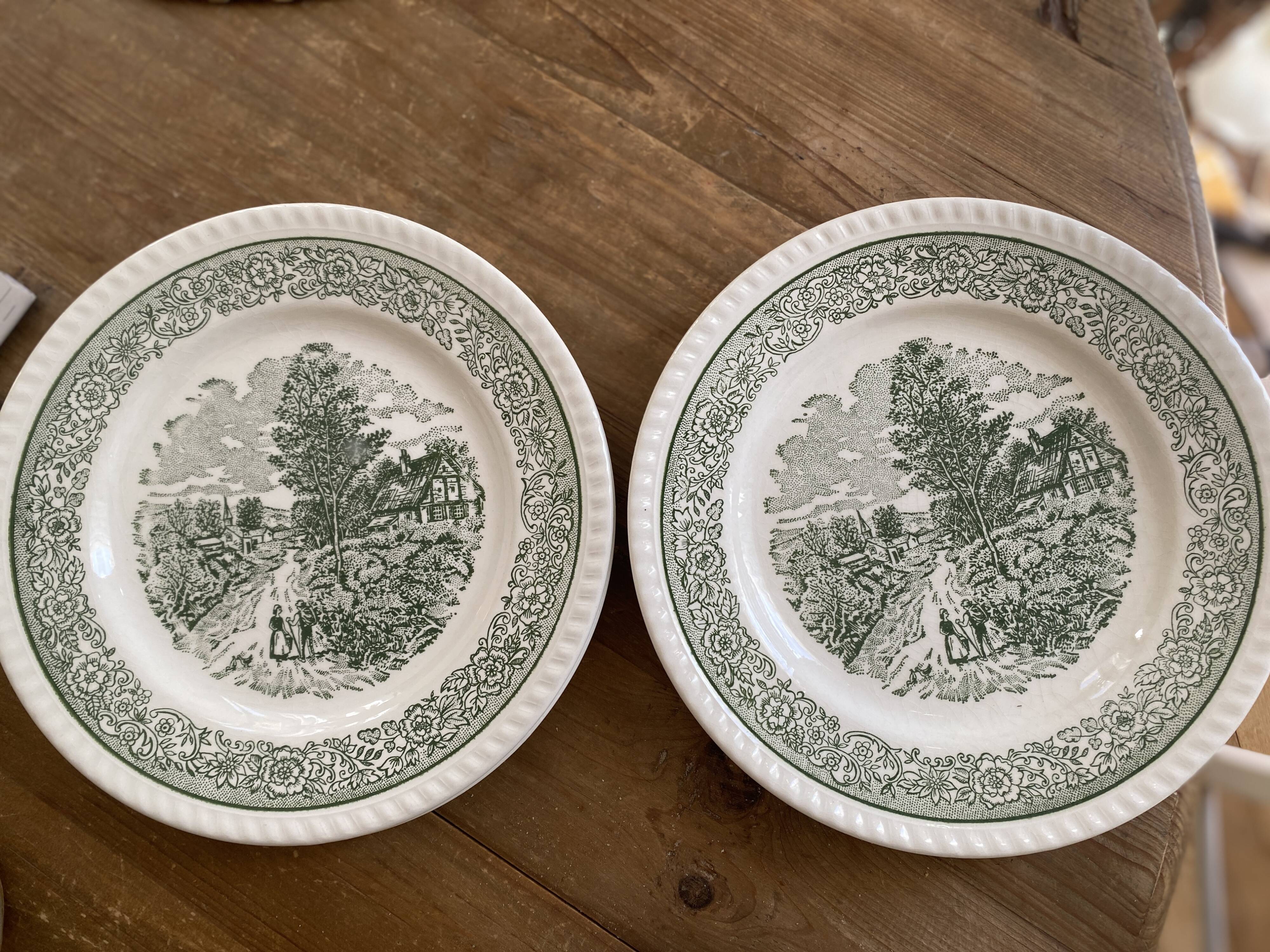 Set of 6 vintage plates