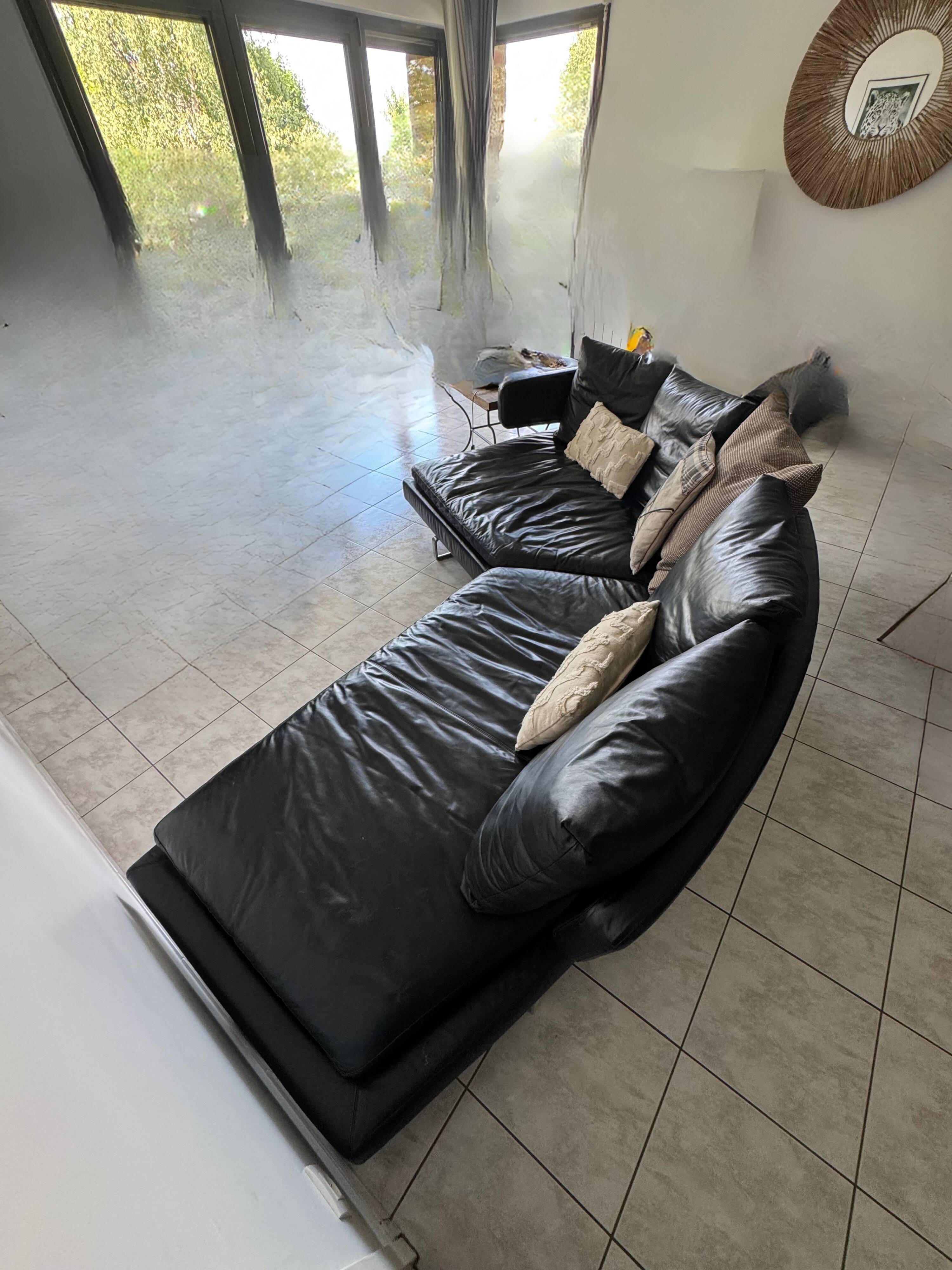 B&b Italia sofa Antonio Citterio Arne black leather