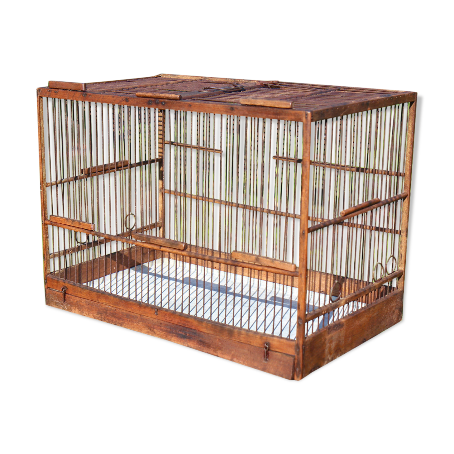 Wooden birdcage year 50