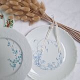 Porcelain dinner plates