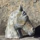 French school, Horse's head (circa 1940)