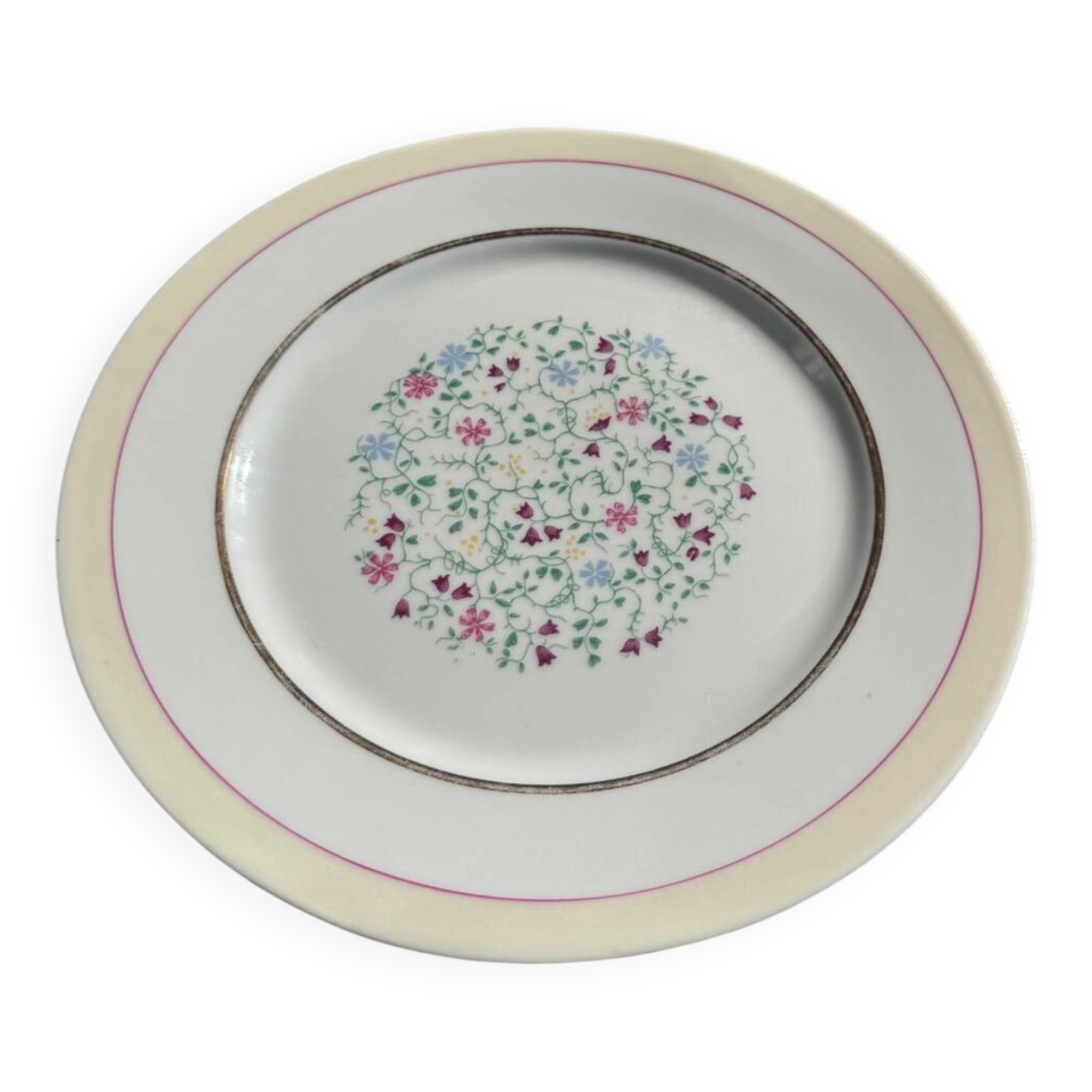 Set of 6 Porcelain Dinner Plates