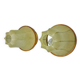 Pair of pear-shaped "cocoon" wall lights, resin and pine, Italy, 1970