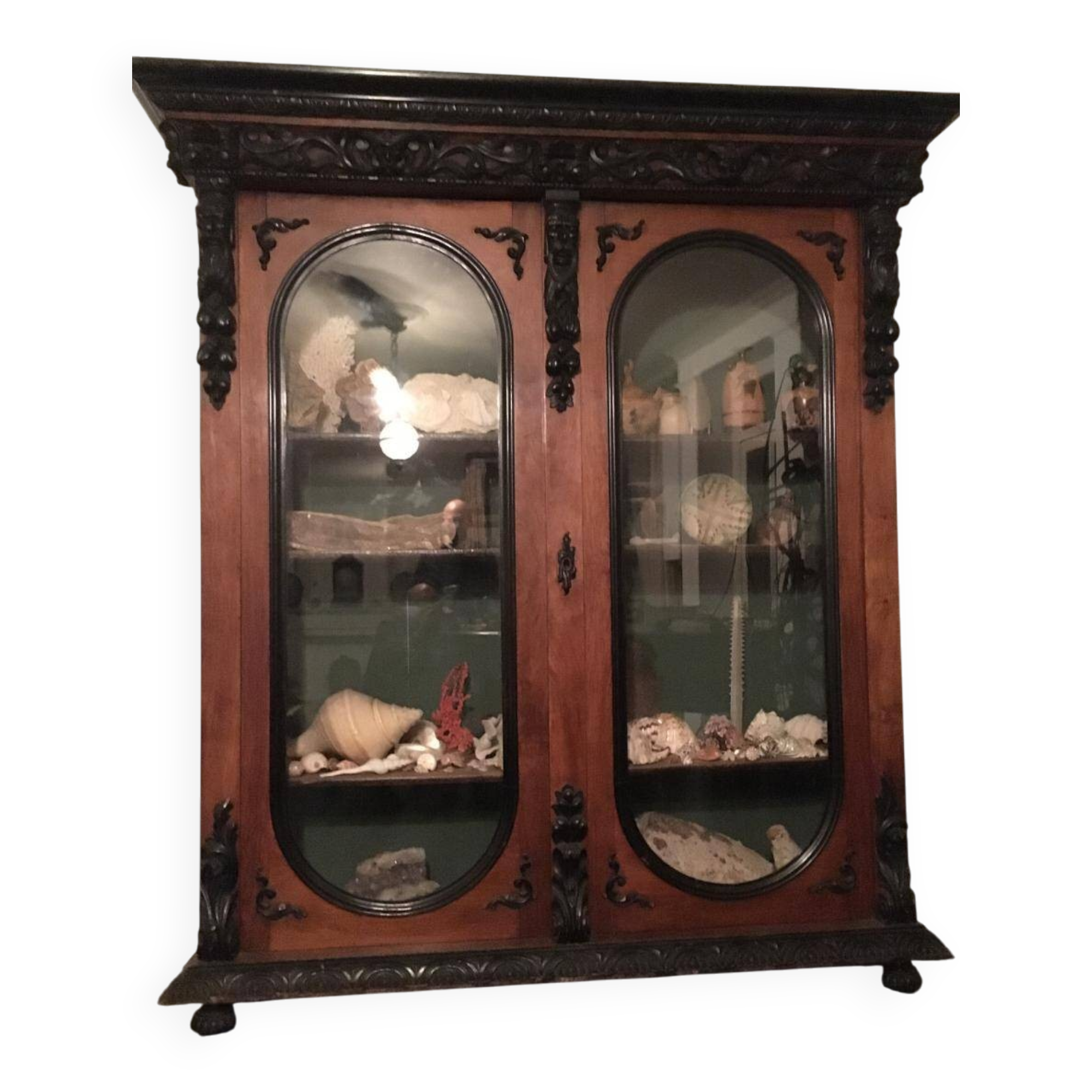 Large display cabinet in walnut veneer and blackened wood, 19th century.