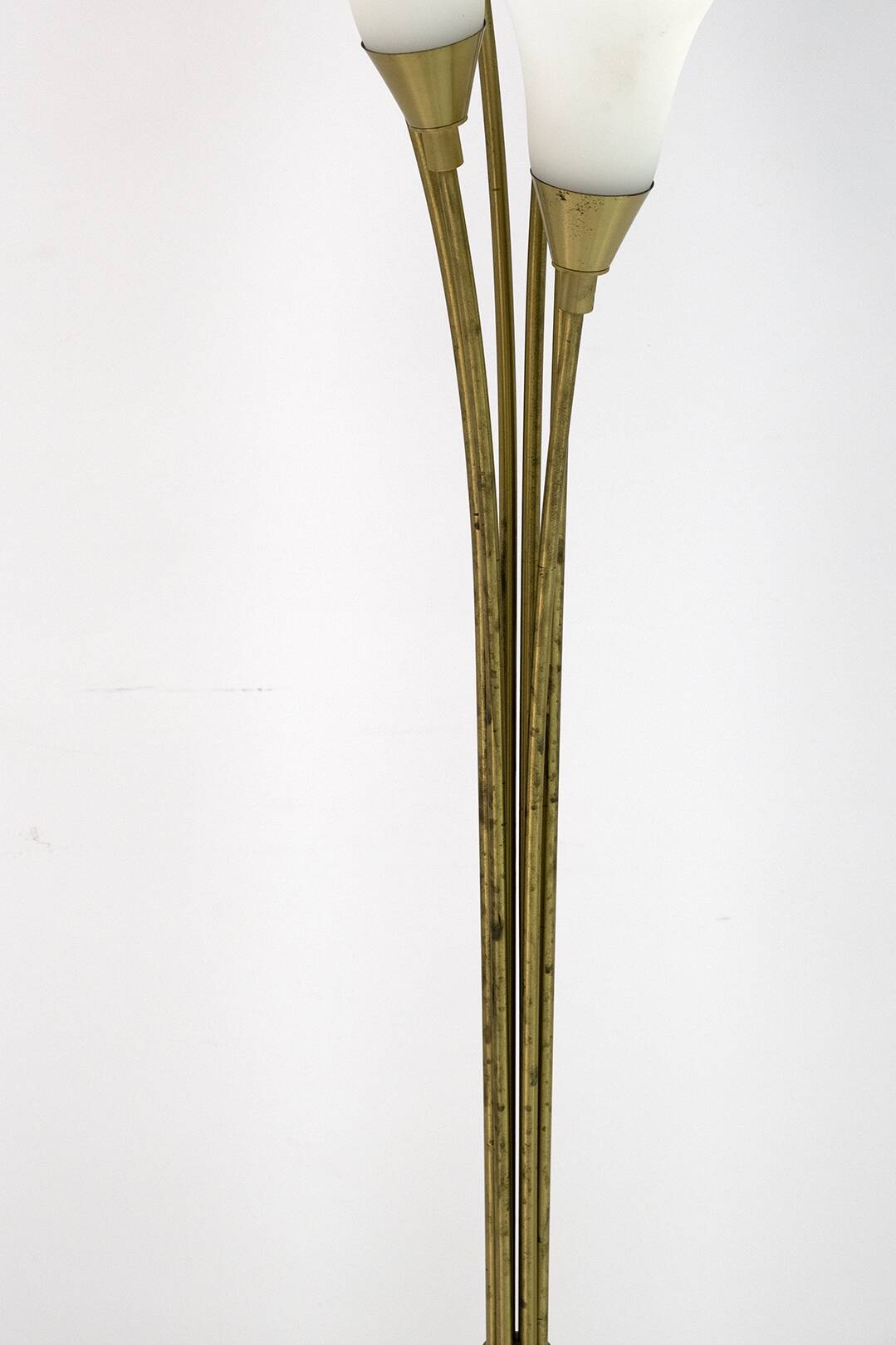 Mid-Century Modern Italian Opaline Glass and Gilt Brass Tulip Floor Lamp,60