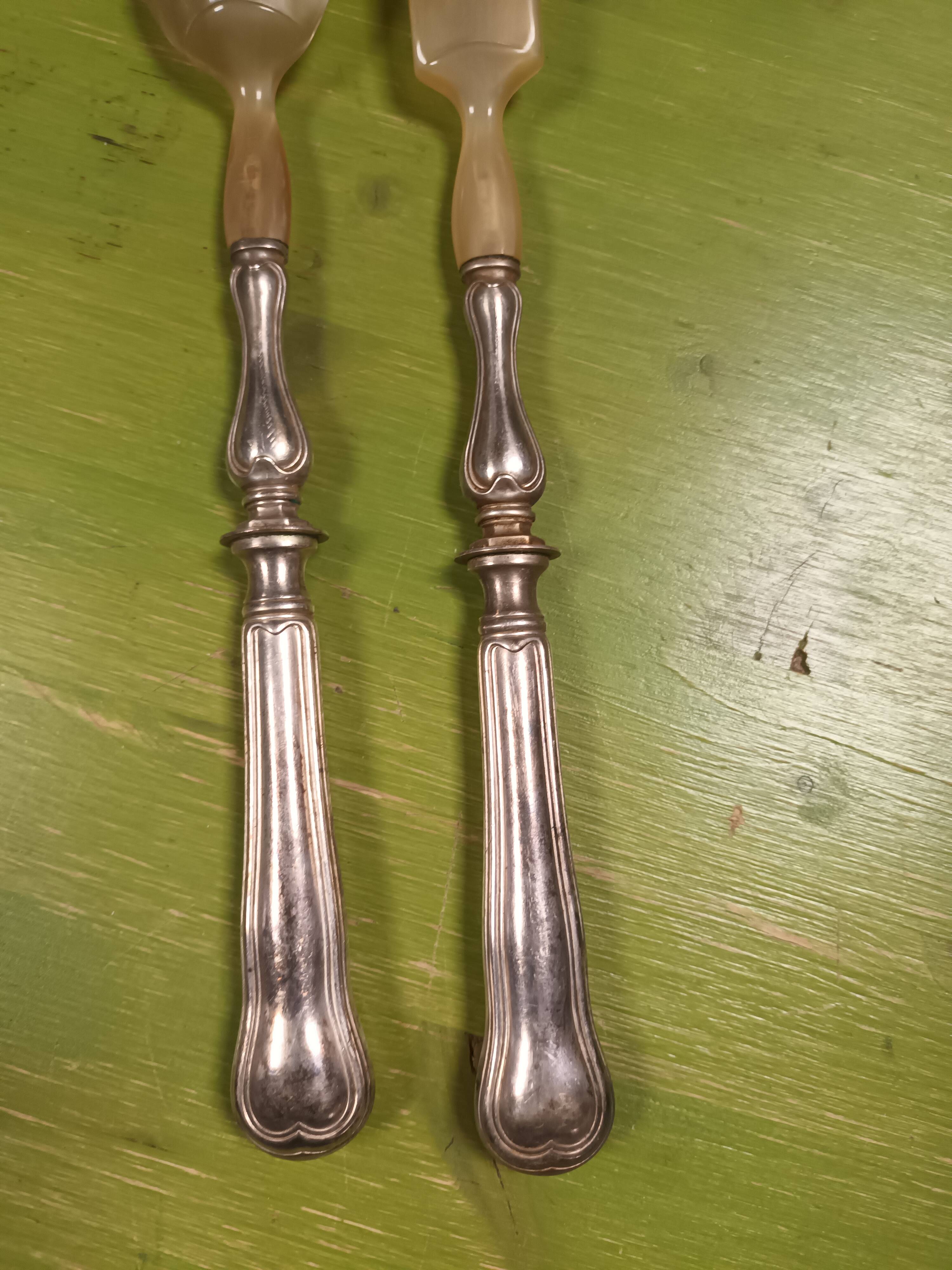 Silver metal cover and horn