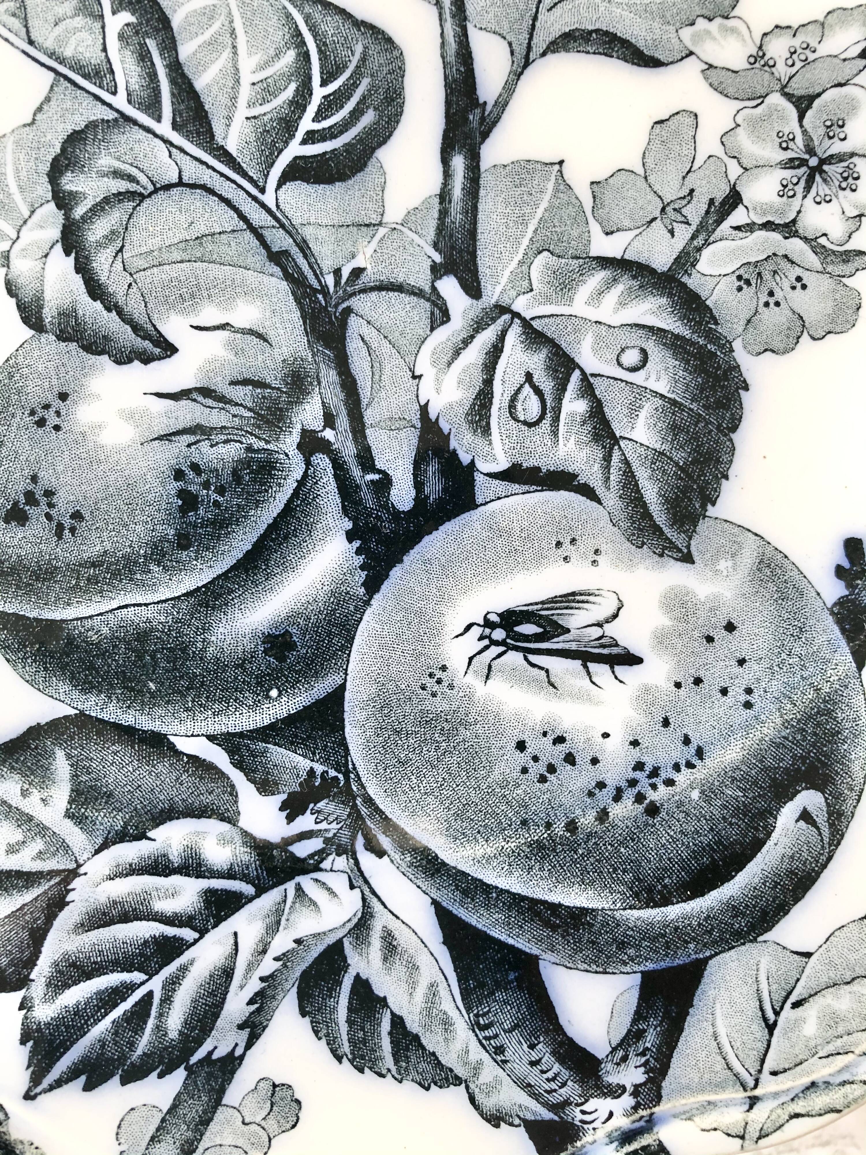 Former round cake dish on foot with blue printed decoration BWM and Co. Brown Westhead Moore - Co